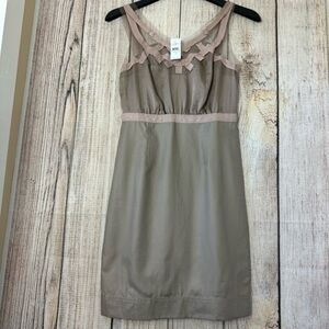 Loft Ribbon mesh Womens sheath dress size 2